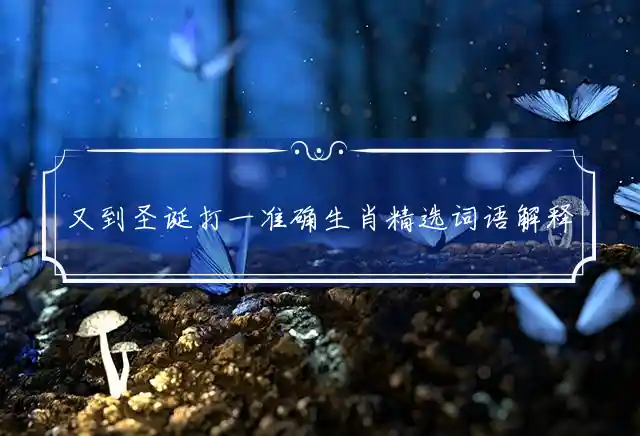 又到圣诞是什么生肖