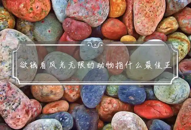 欲钱看风光无限的动物是什么生肖