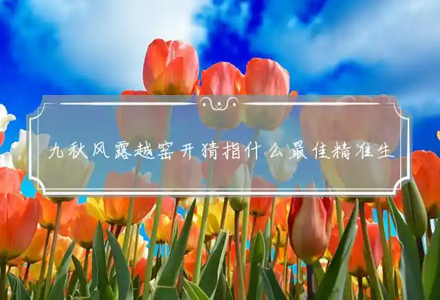 九秋风露越窑开是什么生肖