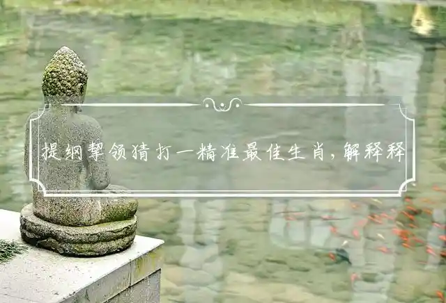 提纲挈领是什么生肖