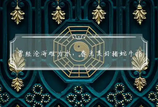 曾经沧海难为水,春光美好猪蛇牛是什么生肖