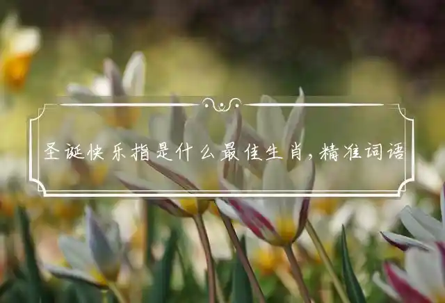 圣诞快乐是什么生肖