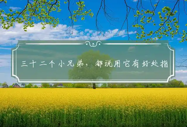 三十二个小兄弟,都说用它有好处是什么生肖