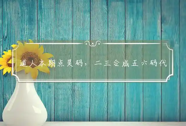 道人本期点灵码,二三合成五六码是什么生肖