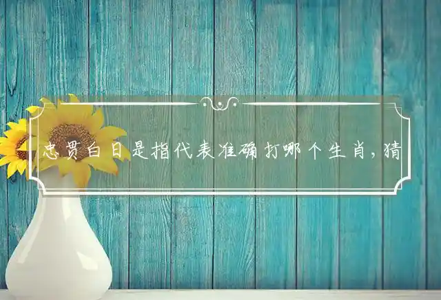 忠贯白日是什么生肖