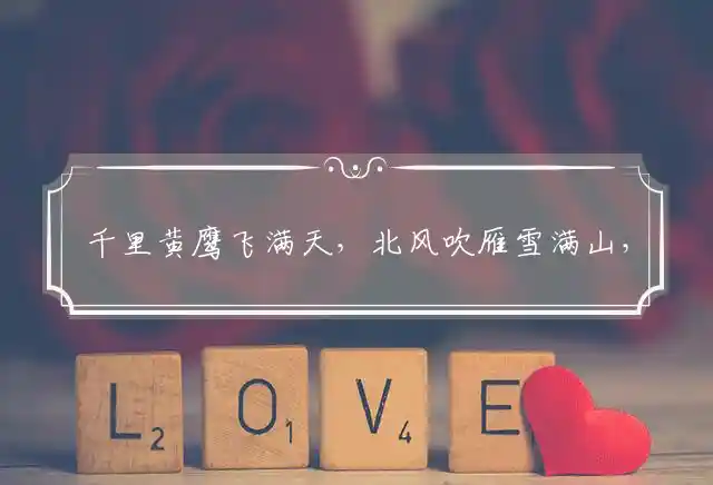 千里黄鹰飞满天,北风吹雁雪满山,一马当先护疆地,国富强大又美美是什么生肖