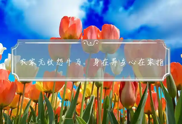 农家无收怨牛马。身在异乡心在家是什么生肖