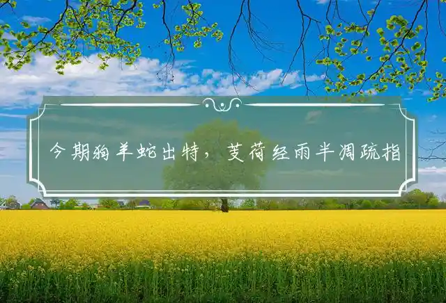 今期狗羊蛇出特,芰荷经雨半凋疏是什么生肖