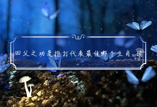 田父之功是什么生肖
