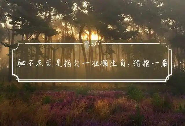 驷不及舌是什么生肖