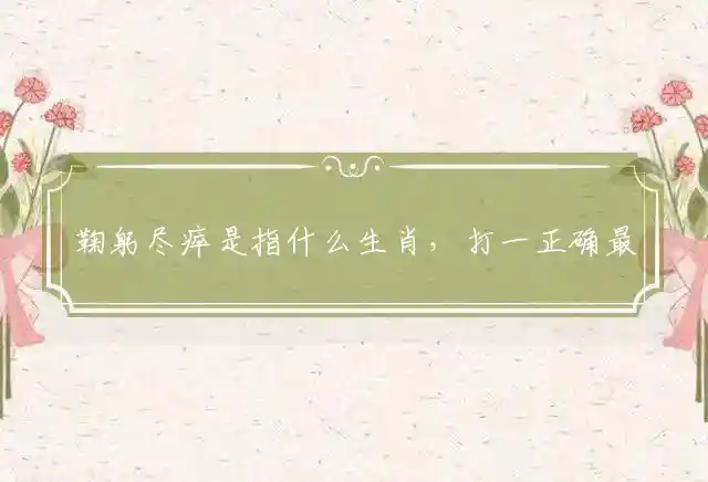 鞠躬尽瘁是什么生肖