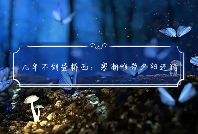 几年不到昼桥西,寒潮唯带夕阳还是什么生肖