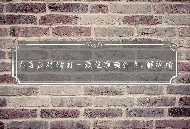 无言应对是什么生肖