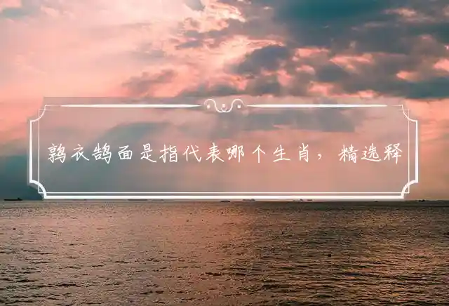 鹑衣鹄面是什么生肖