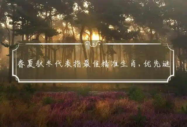 春夏秋冬是什么生肖