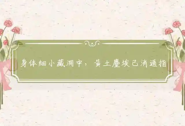 身体细小藏洞中,黄土麈埃已消遁是什么生肖