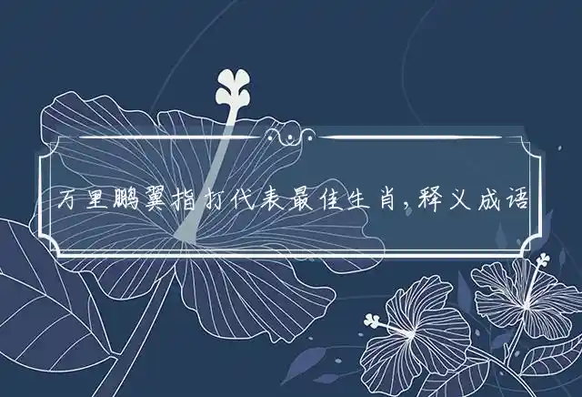 万里鹏翼是什么生肖