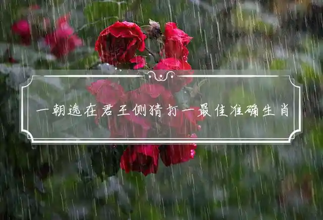 一朝选在君王侧是什么生肖