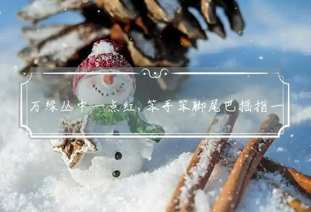 万绿丛中一点红,笨手笨脚尾巴摇是什么生肖