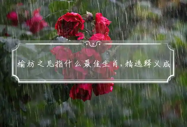 榆枋之见是什么生肖