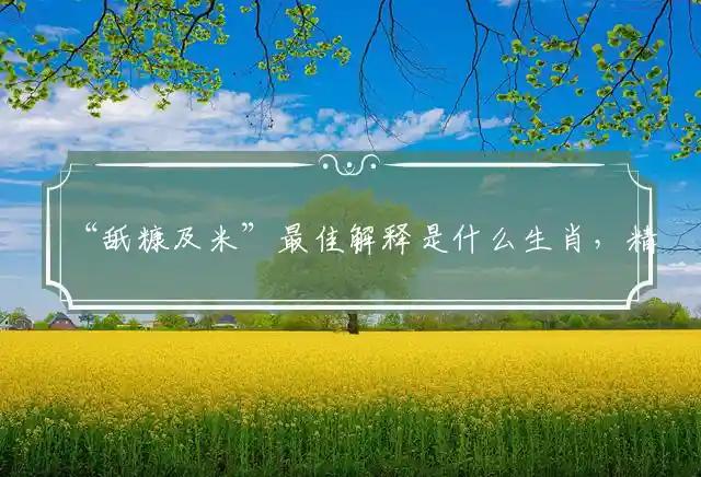 “舐糠及米”最佳解释是什么生肖，精选解读成语释义解释