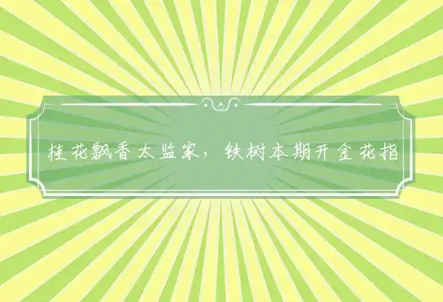 桂花飘香太监家,铁树本期开金花是什么生肖