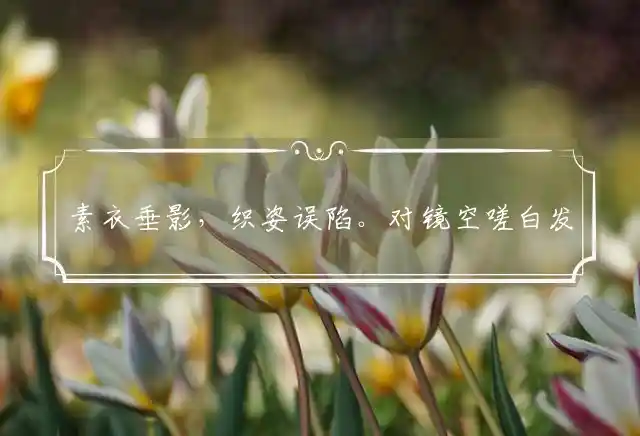 素衣垂影,织姿误陷。对镜空嗟白发新是什么生肖