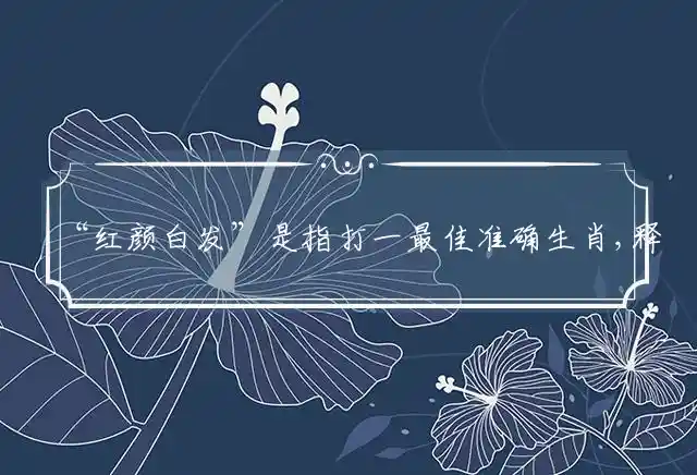 红颜白发是什么生肖