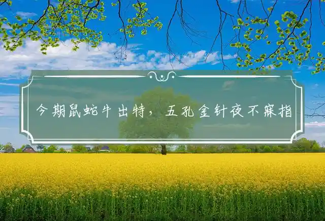 今期鼠蛇牛出特,五孔金针夜不寐是什么生肖