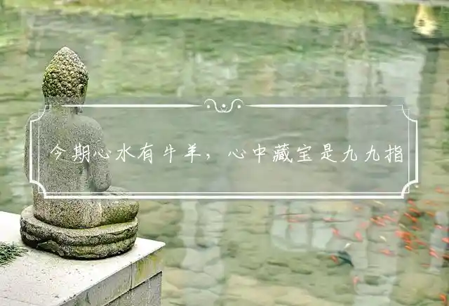 今期心水有牛羊,心中藏宝是九九是什么生肖