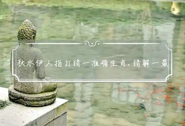 秋水伊人是什么生肖