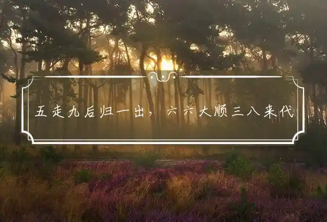 五走九后归一出,六六大顺三八来是什么生肖
