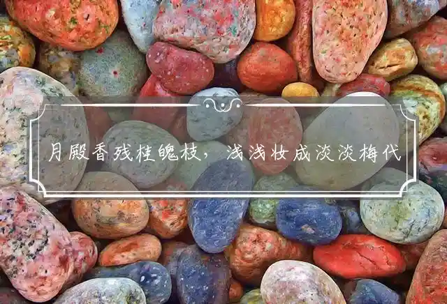 月殿香残桂魄枝,浅浅妆成淡淡梅是什么生肖