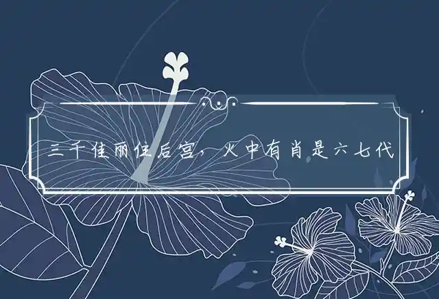 三千佳丽住后宫,火中有肖是六七是什么生肖