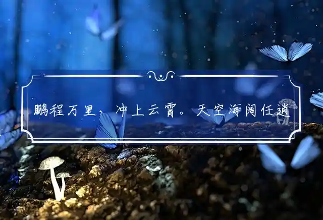 鹏程万里,冲上云霄。天空海阔任逍遥是什么生肖
