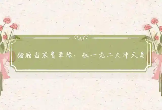 猪狗当家青草绿,独一无二火冲天是什么生肖