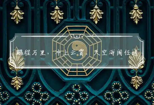 鹏程万里,冲上云霄。天空海阔任逍遥。鸿图大志,雀鸟焉知?拟登绝顶留人宿是什么生肖
