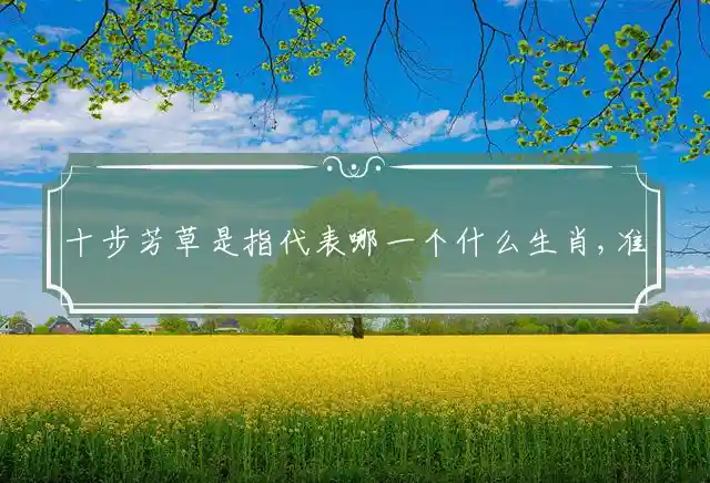 十步芳草是什么生肖