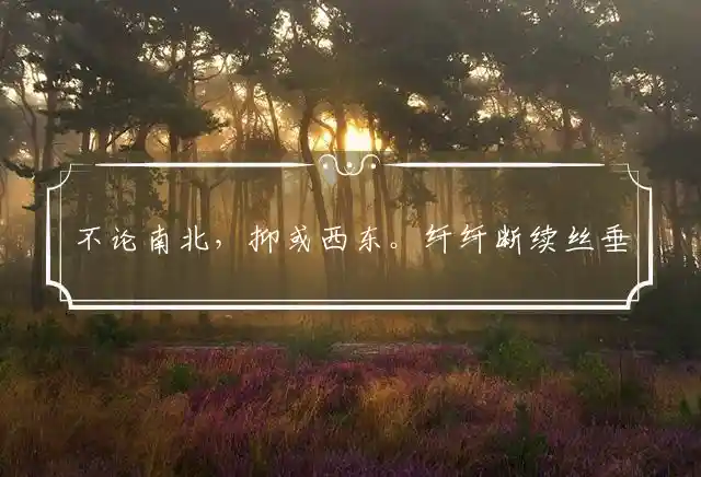 不论南北,抑或西东。纤纤断续丝垂雨是什么生肖