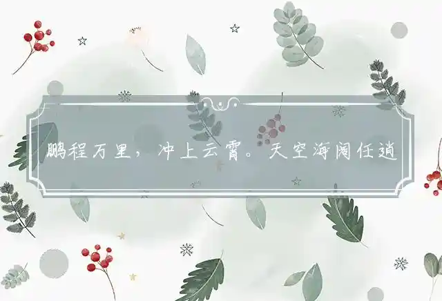 鹏程万里,冲上云霄。天空海阔任逍遥是什么生肖