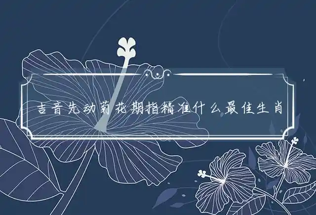 吉音先动菊花期是什么生肖