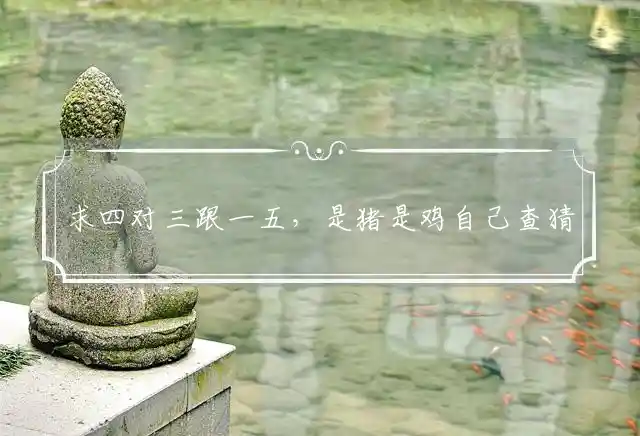 求四对三跟一五,是猪是鸡自己查是什么生肖