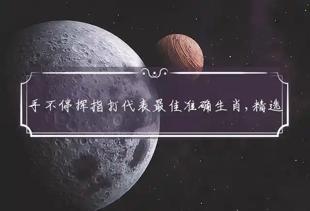 手不停挥是什么生肖