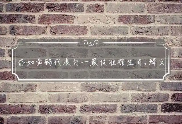 杳如黄鹤代表打一最佳准确生肖,释义准确解释词语