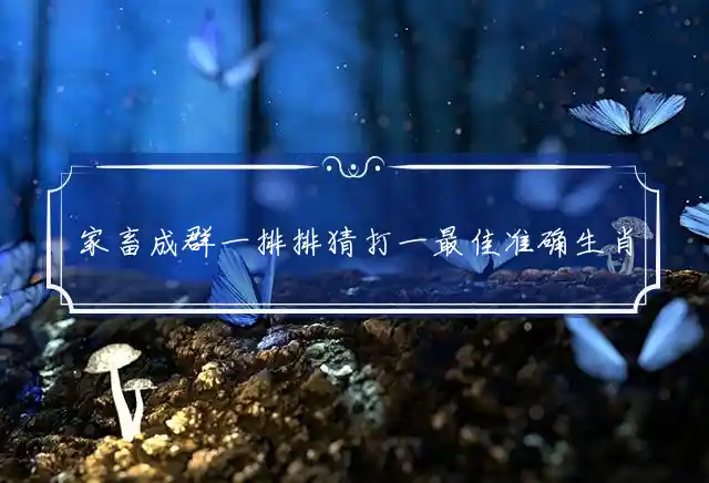 家畜成群一排排是什么生肖