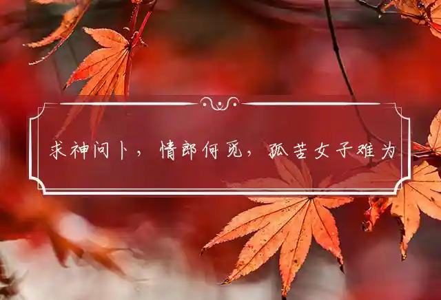 求神问卜,情郎何觅,孤苦女子难为力是什么生肖