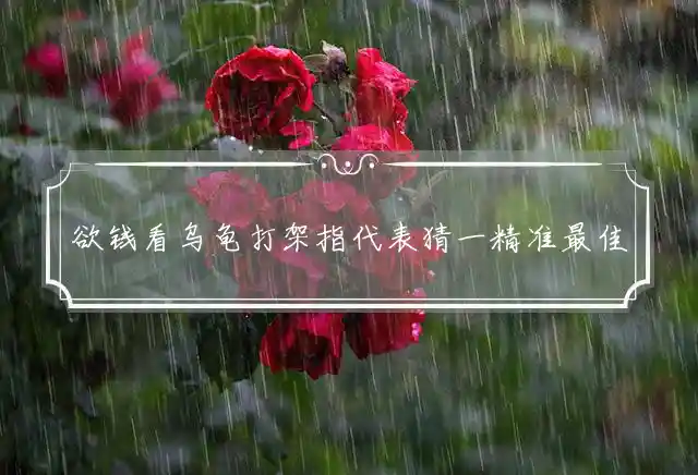 欲钱看乌龟打架是什么生肖