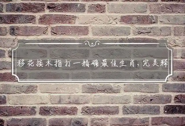 移花接木是什么生肖