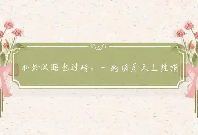 非好汉晤也过岭,一轮明月天上挂是什么生肖