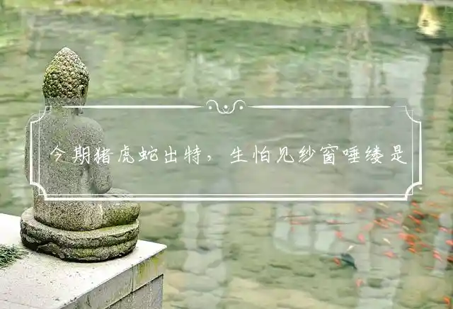今期猪虎蛇出特,生怕见纱窗唾缕是什么生肖